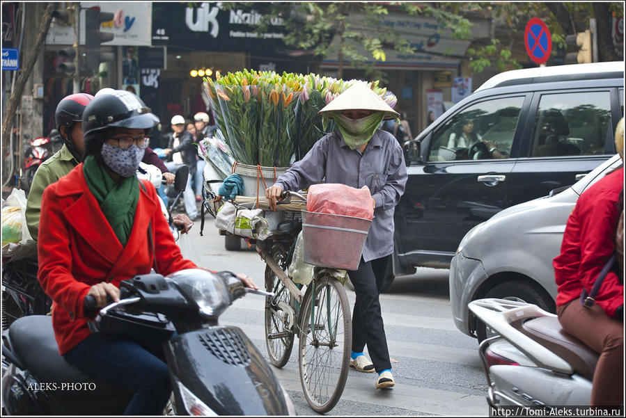 Цветоводов мы уже видели в первой прогулке по городу. Смотрятся они очень колоритно... Ханой, Вьетнам