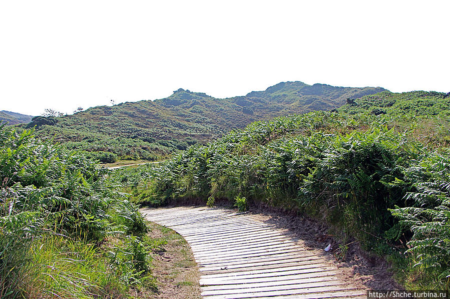 Murlough National Nature Reserve Мерлаф Природный Парк, Великобритания