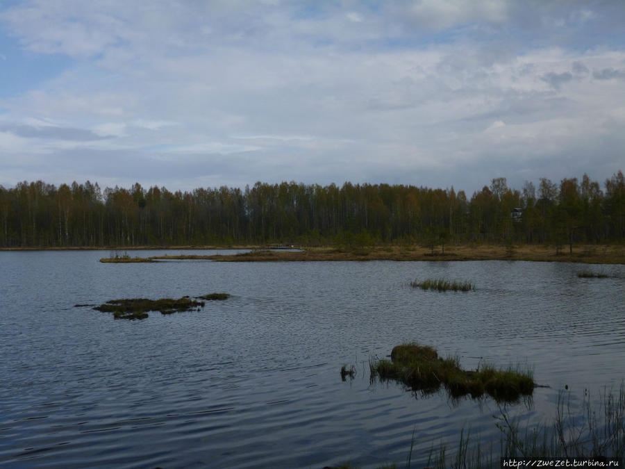 Одно из тысяч озер Карельского перешейка Санкт-Петербург и Ленинградская область, Россия