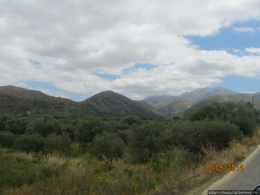 По дороге к плато Лассити, оливковые рощи Остров Крит, Греция