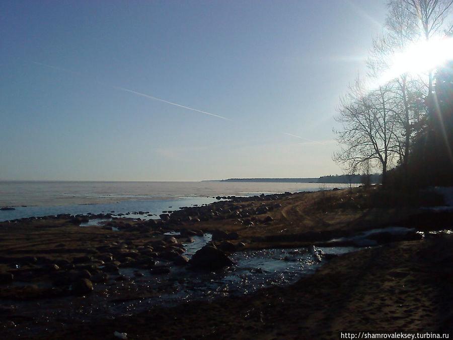 Вдоль берега моря Зеленогорск, Россия