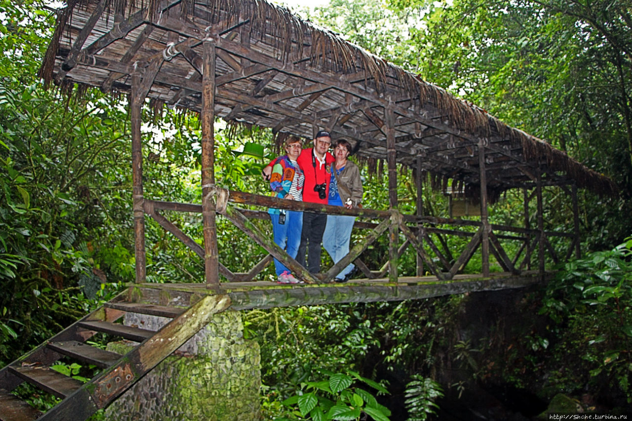 На радость ботаников: по экваториальному лесу в Эквадоре Сумако-Напо-Галерас Национальный Парк, Эквадор