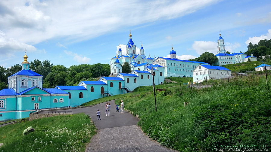 Проект коренная пустынь