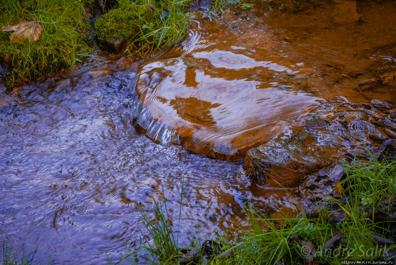 Тропа вокруг МЕЛЬНИЦЫ ИЕРИКИ Цесис, Латвия