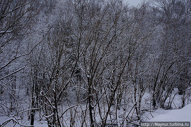 У природы нет плохой погоды Южно-Сахалинск, Россия