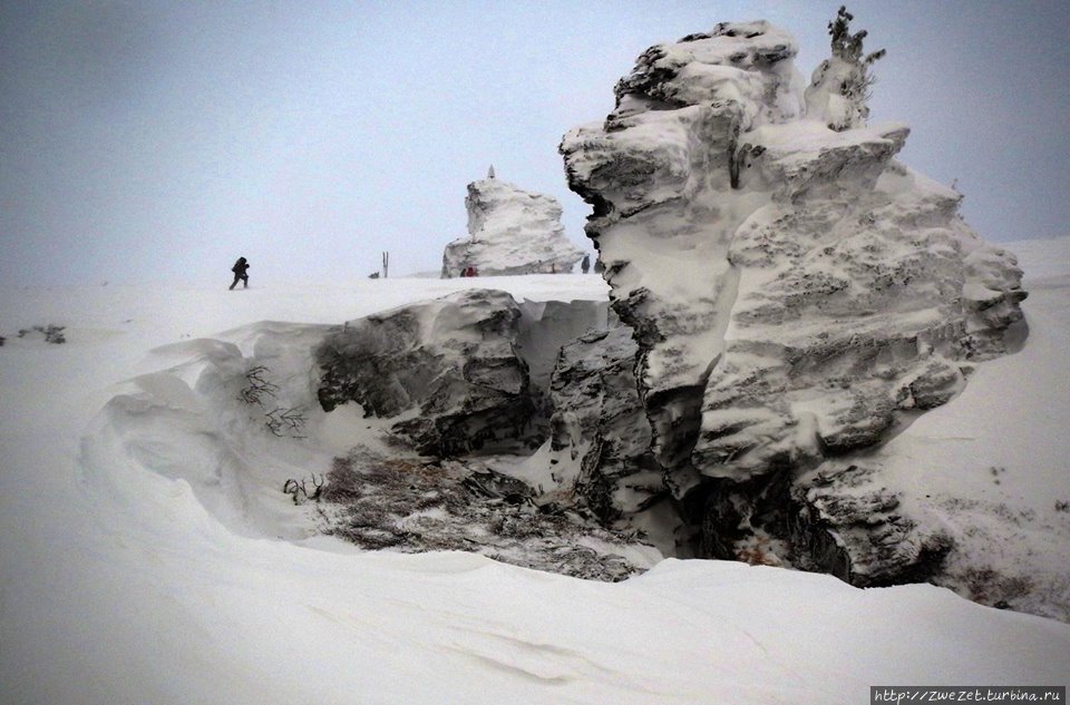 Тот самый перевал Дятлова (фото из интернета) Свердловская область, Россия