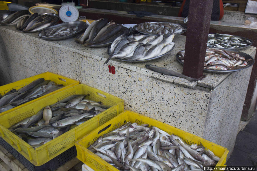 Рыбный рынок Батуми, Грузия