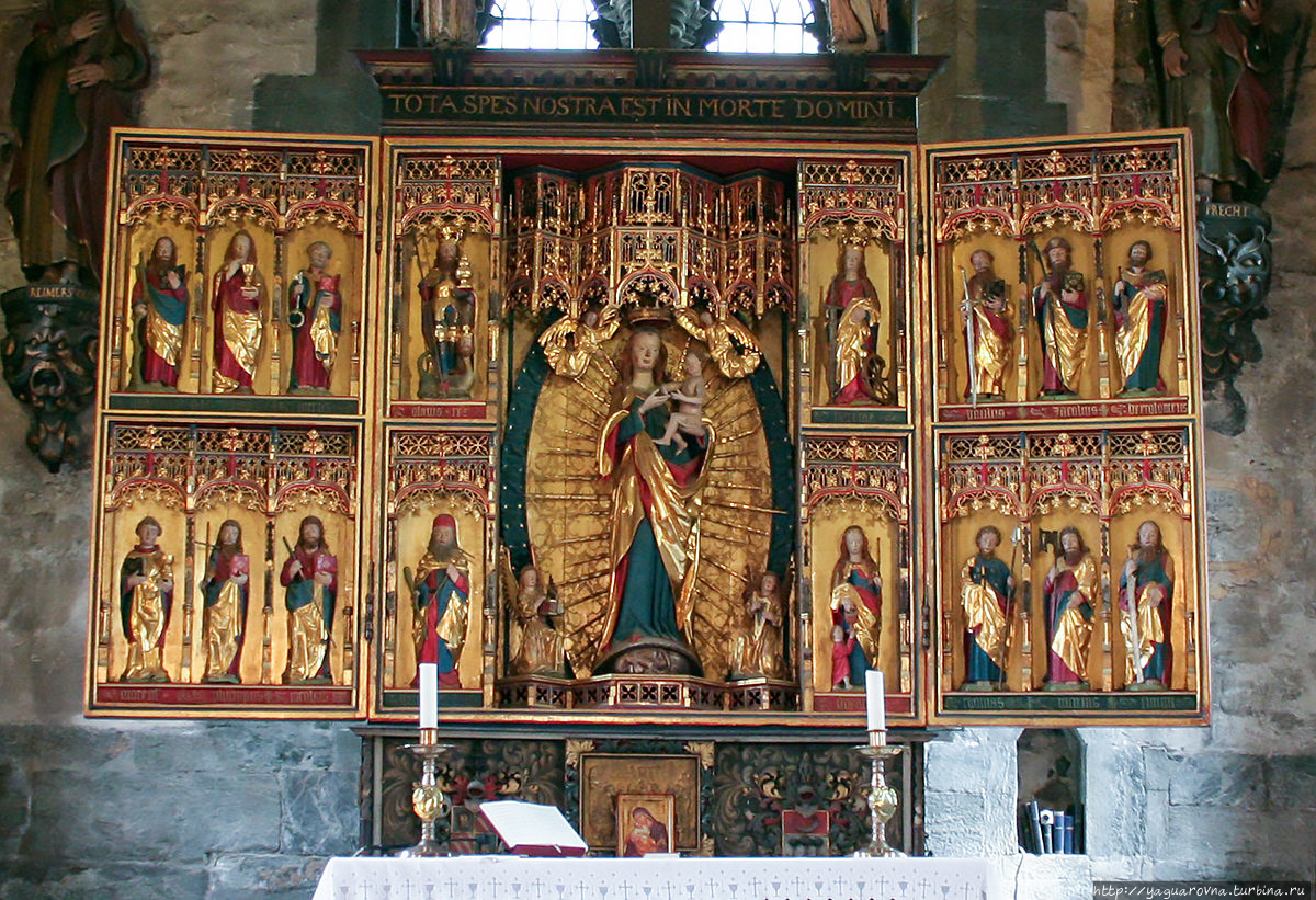 фото из интернета