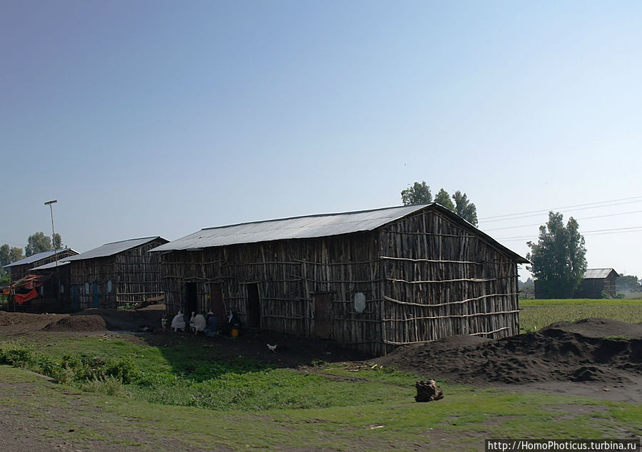 Эфиопская глубинка Регион Амхара, Эфиопия