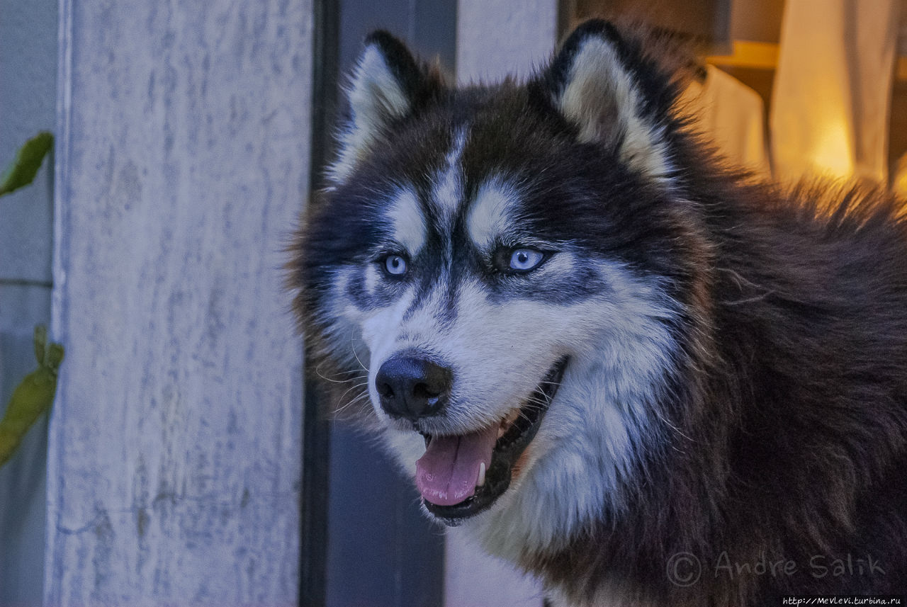 Пистойя (Pistoia) Пистоя, Италия