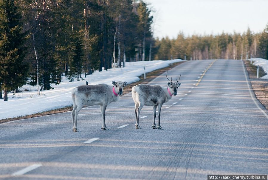 нас встречают