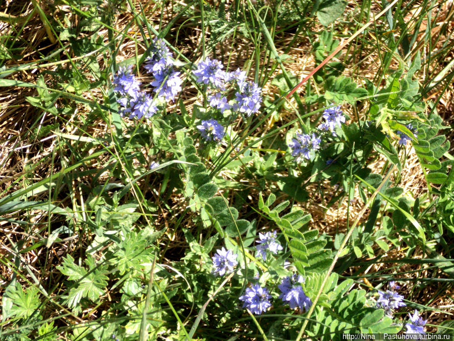 Последний день весны Оренбургская область, Россия