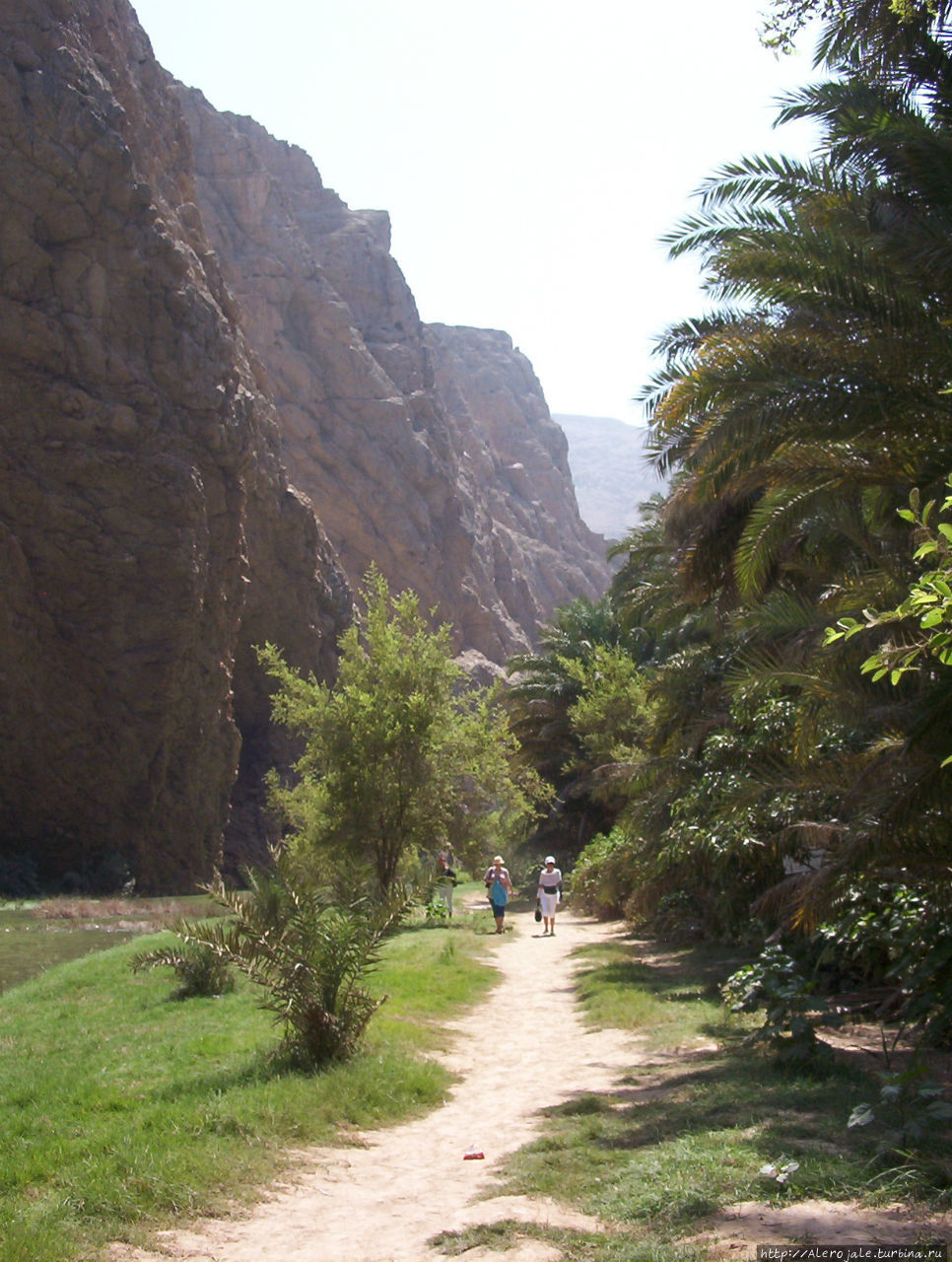 Оазис Тиви — из Маската по дороге в Сур Тиви, Оман