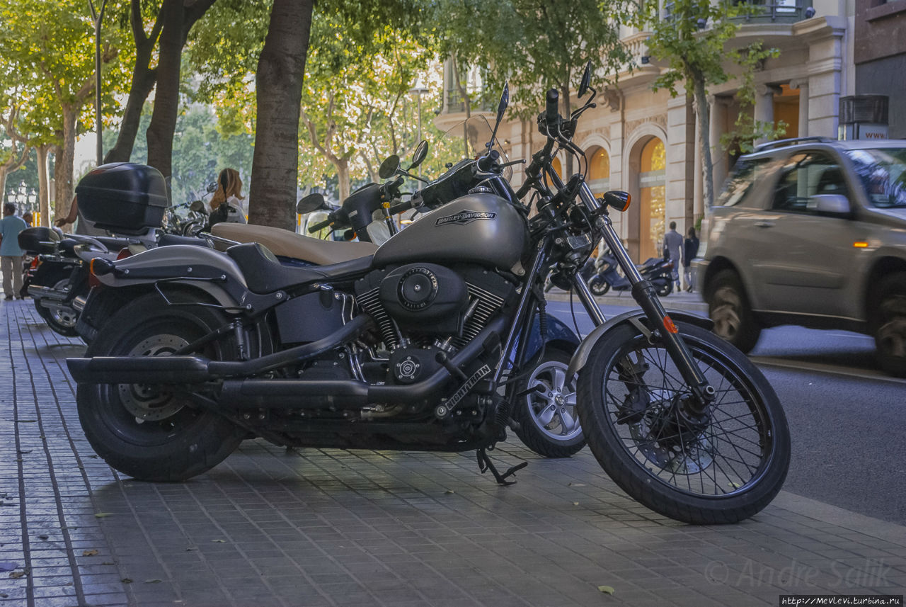 Май в Барселоне Барселона, Испания