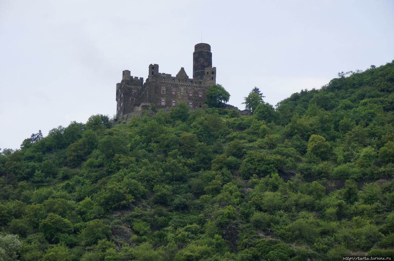 Сказочный Рюдесхайм, вино и замки Рюдесхайм-на-Рейне, Германия