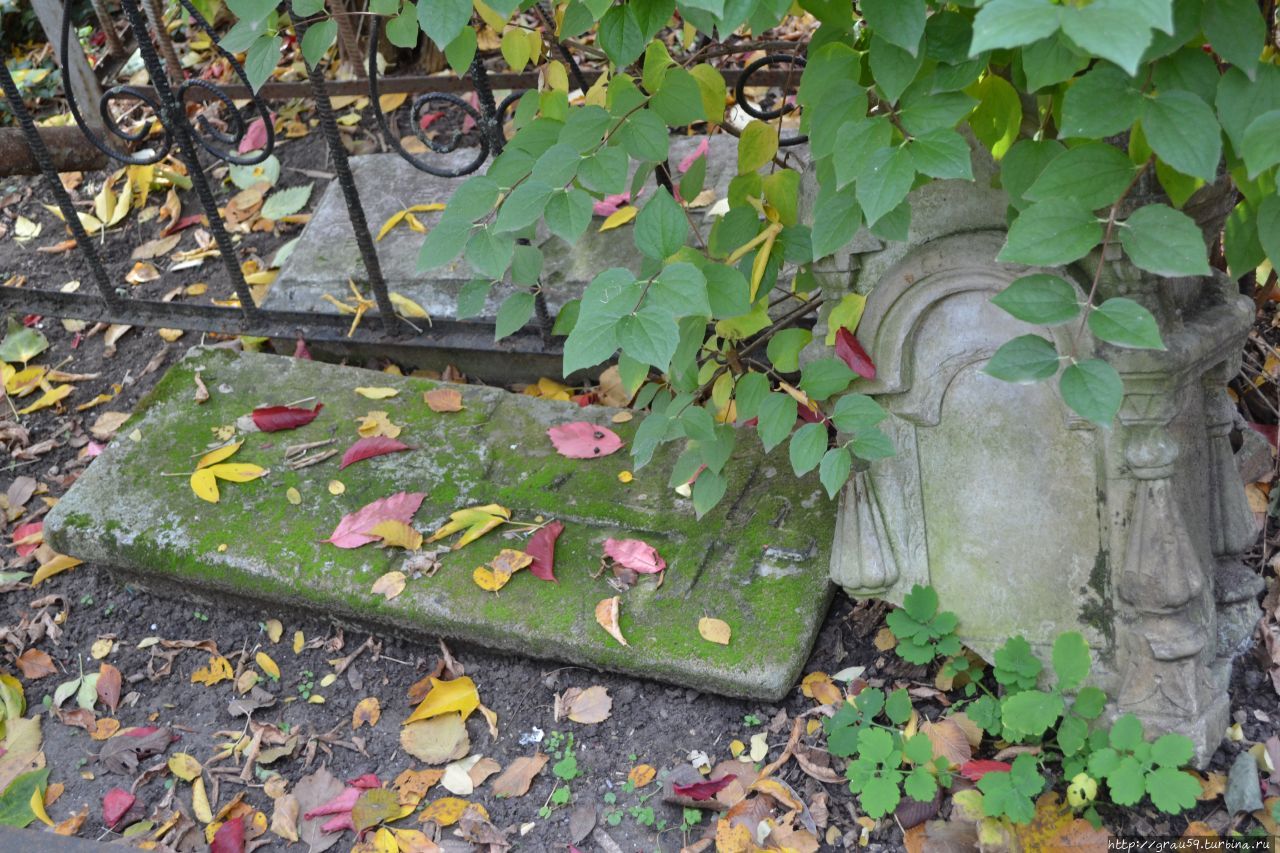 Воскресенское кладбище / Voskresenskoe cemetery