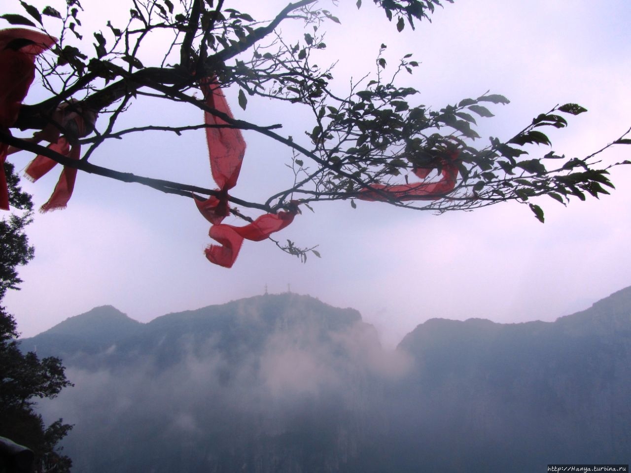 Тропа Призрака Ущелья Чжанцзяцзе Национальный Лесной Парк (Парк Аватар), Китай