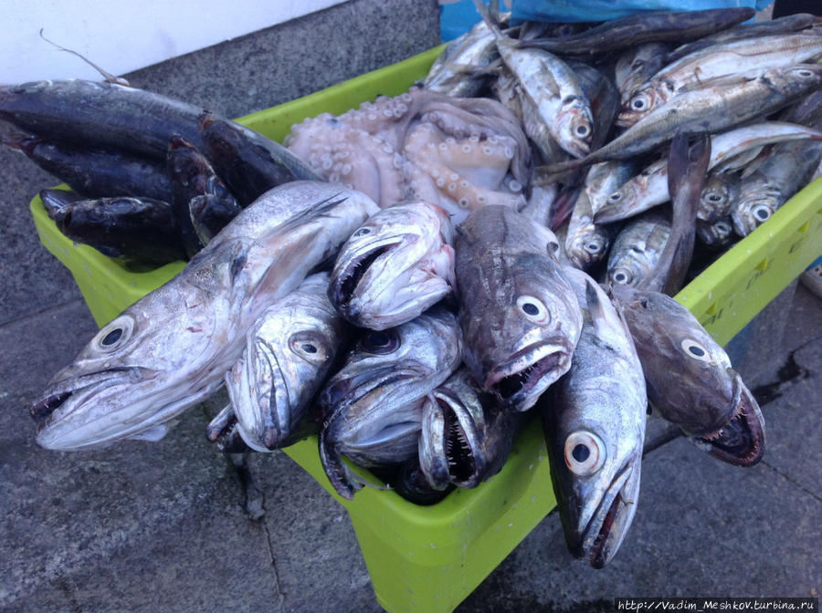 Рыба-сабля (эшпада) на продуктовом рынке в Порту. Порту, Португалия