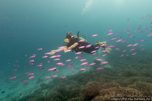 Подводные тайны Окинавы Окинава, Япония