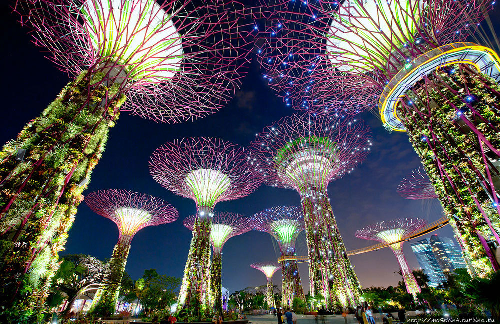 Аватар-деревья Сингапур (столица), Сингапур (город-государство)
