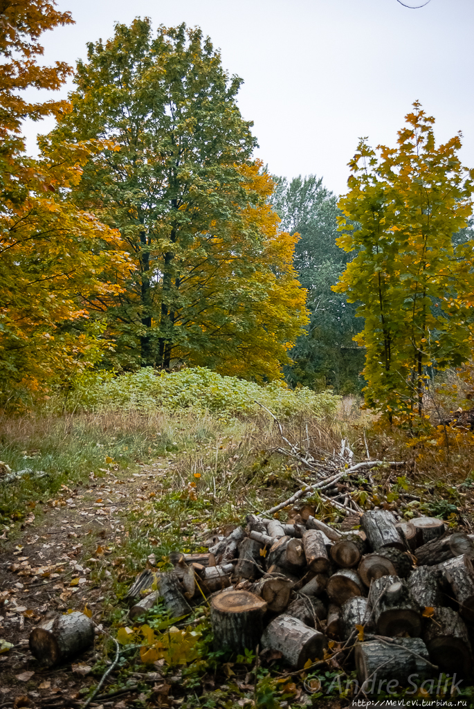 Красивая осень!!! Рига, Латвия