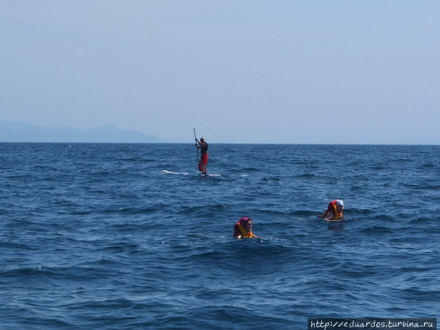 Морская рыбалка в Алуште Алушта, Россия