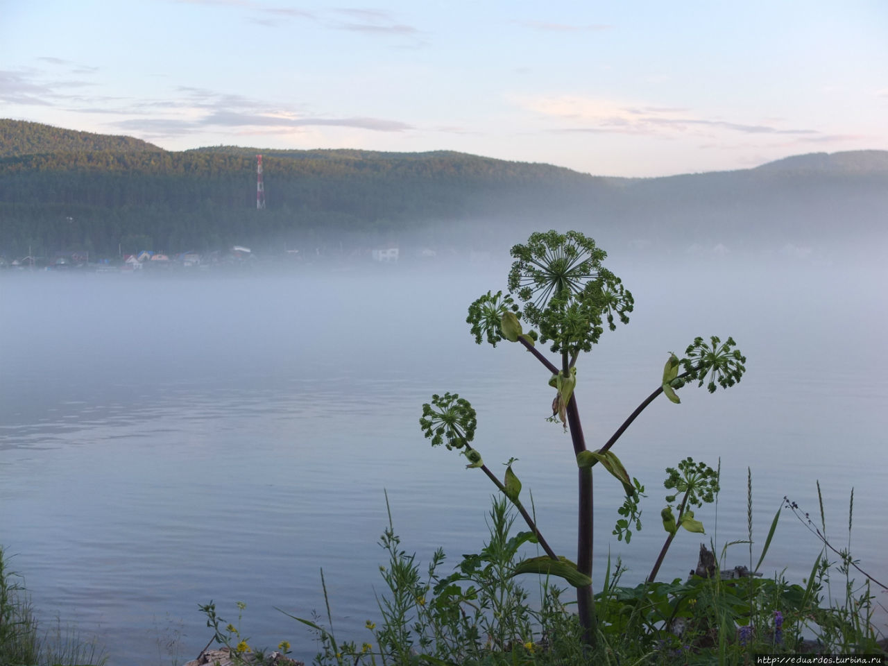 Туман над Енисеем Красноярск, Россия