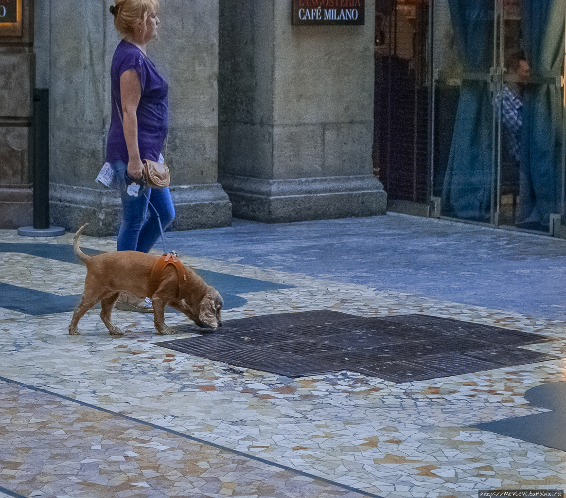 Поход в Музей современного искусства Милан, Италия