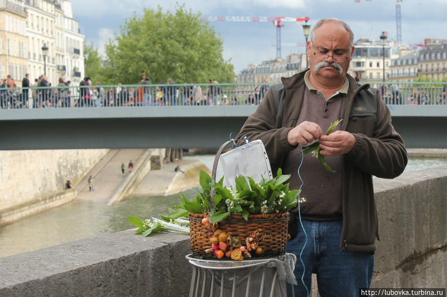 Ландыш  (Convallaria majalis) Франция