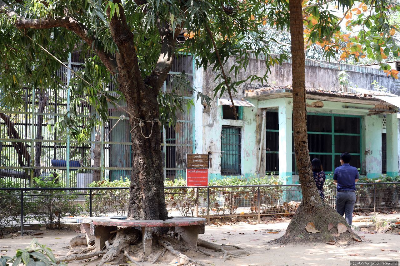 Зоопарк Янгона Янгон, Мьянма