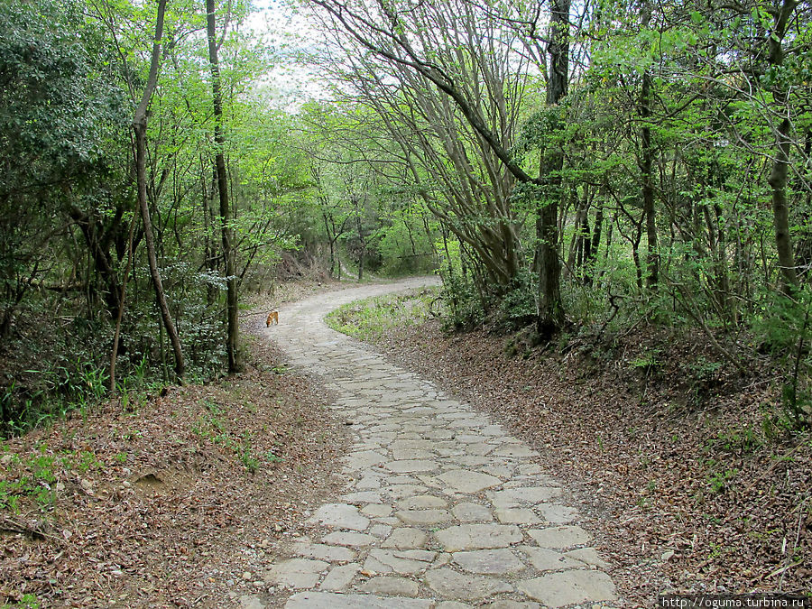 В некоторых местах тракт сохранил своё первоначальное покрытие Префектура Гифу, Япония