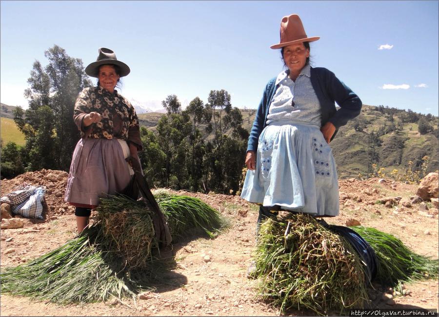 Сборщицы травы Уарас, Перу