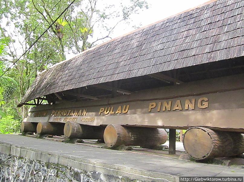 Остров Пенанг. Около заповедника Джорджтаун, Малайзия