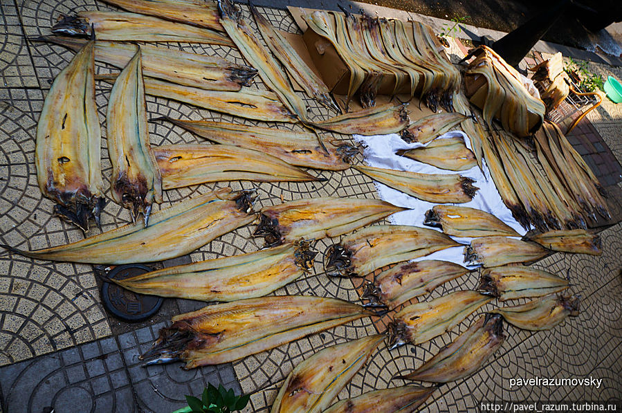Сушка рыбы на улице Циндао, Китай