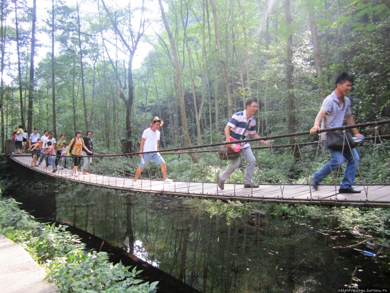 Каньон Золотой Кнут Чжанцзяцзе Национальный Лесной Парк (Парк Аватар), Китай