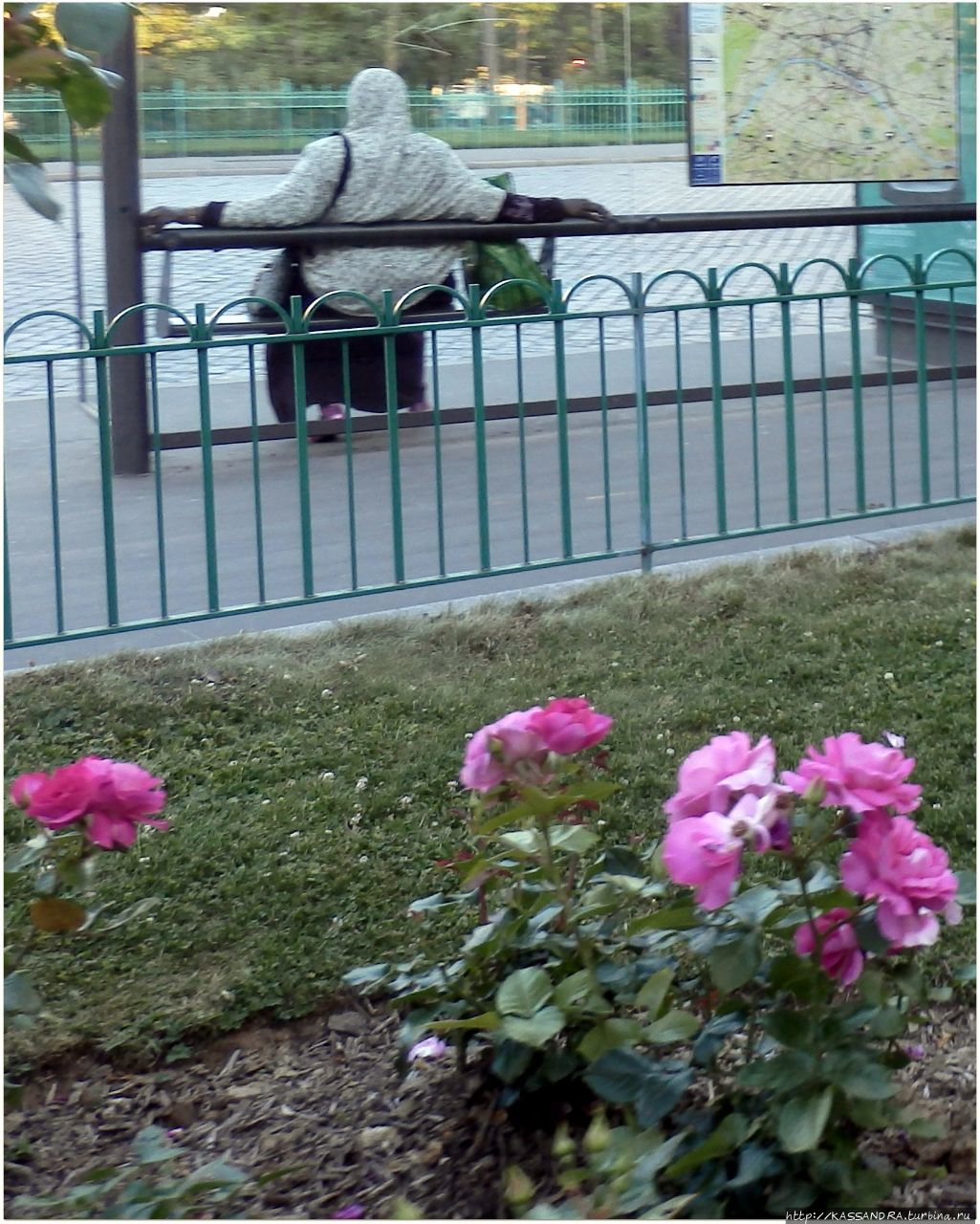 Кань-сюр-Мер. Красные розы Ренуара Кань-сюр-Мер, Франция