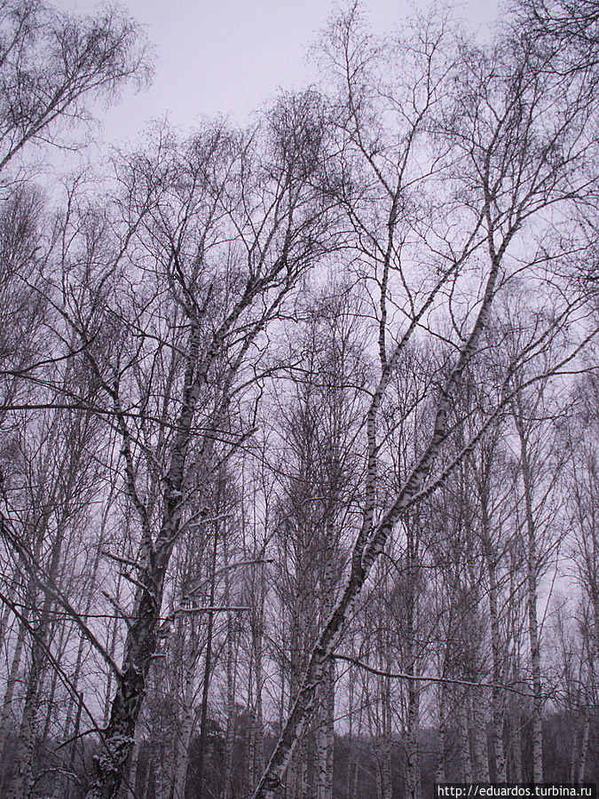 Окрестности Красноярска. Торгашинский хребет. Красноярск, Россия