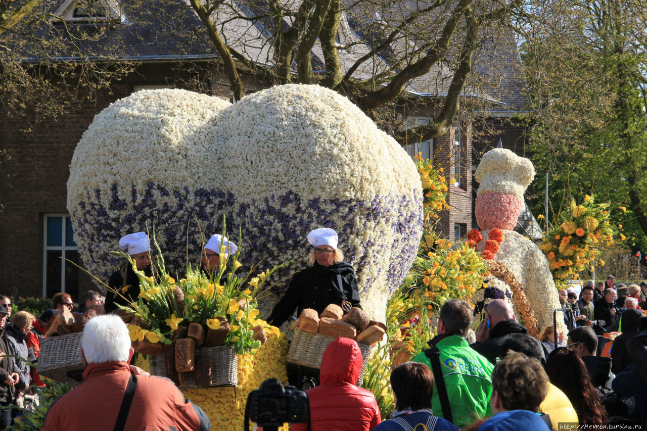 Парад цветов 2016 Хиллегом, Нидерланды