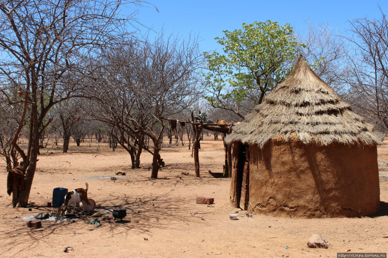 Поселение племени представляет собой имеющее круговую планировку собрание конусообразных хижин, обмазанных смесью глины и навоза. Намибия