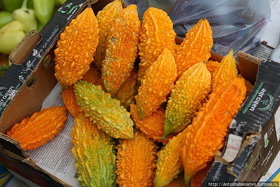 Момырдык Кишинёв, Молдова