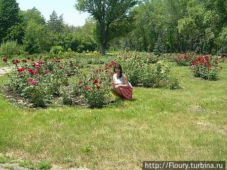 Снова индустриальный город. Снова ботсад Донецк, Украина