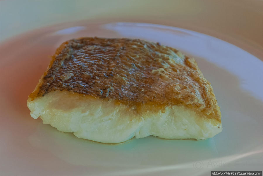 Ресторан Марисел / Restaurant Maricel