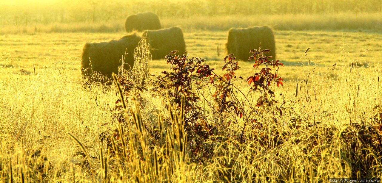 Осенние этюды Долинск, Россия