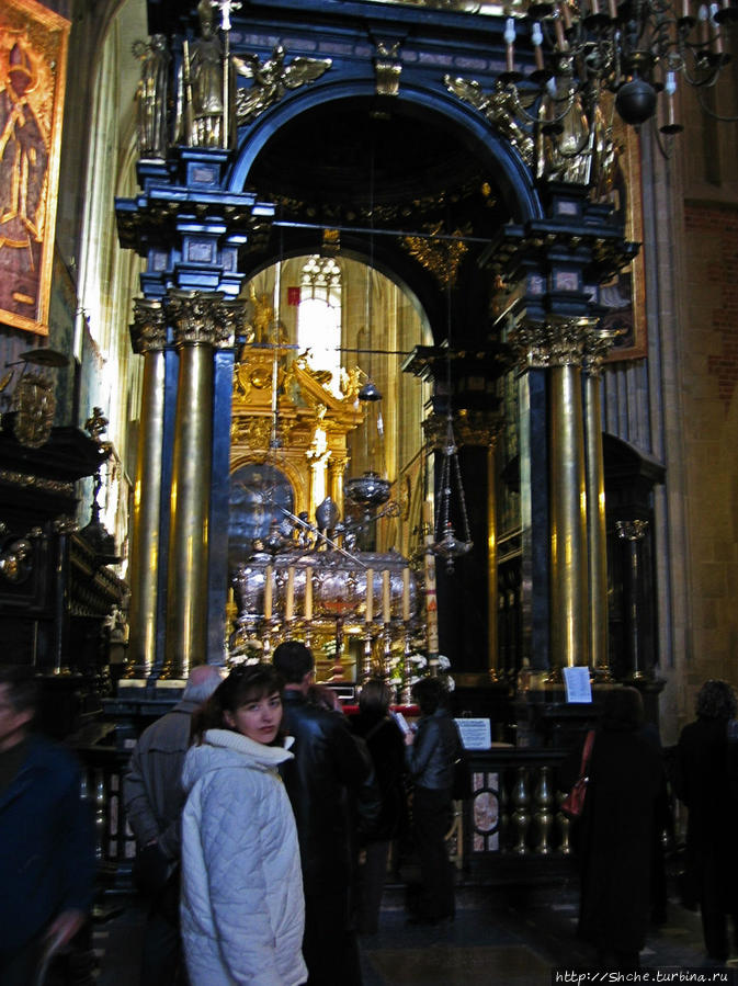 внутри собора Краков, Польша