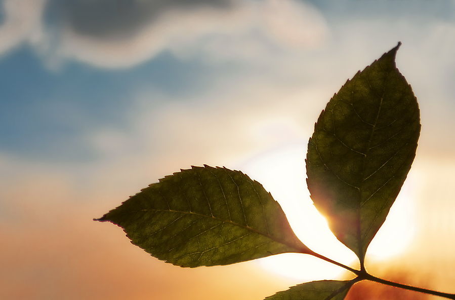 Ну и все, теперь можно попрощаться с теплом, наверное, месяцев так на пять.