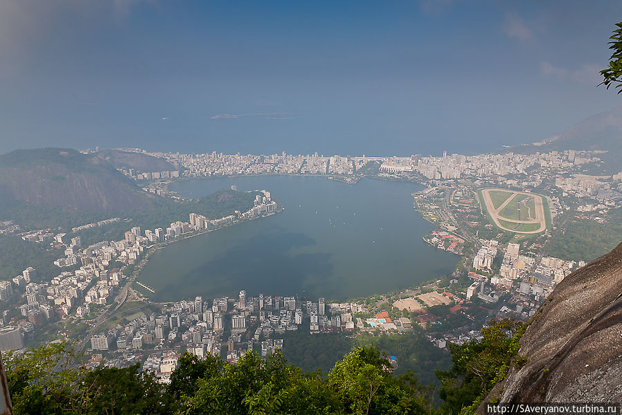 Вид из вагона