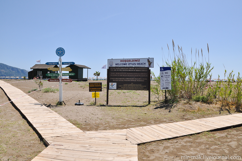 На пляже туристов встречает огромное количество информационных стендов, табличек, предупреждений и прочей информации посвященной черепахам. Дальян, Турция