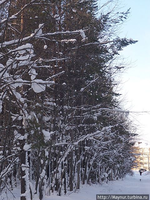 Дорога в парк.
