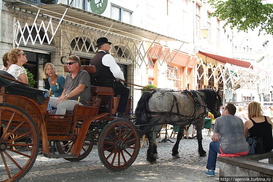 Главный транспорт туристов — гужевой Антверпен, Бельгия