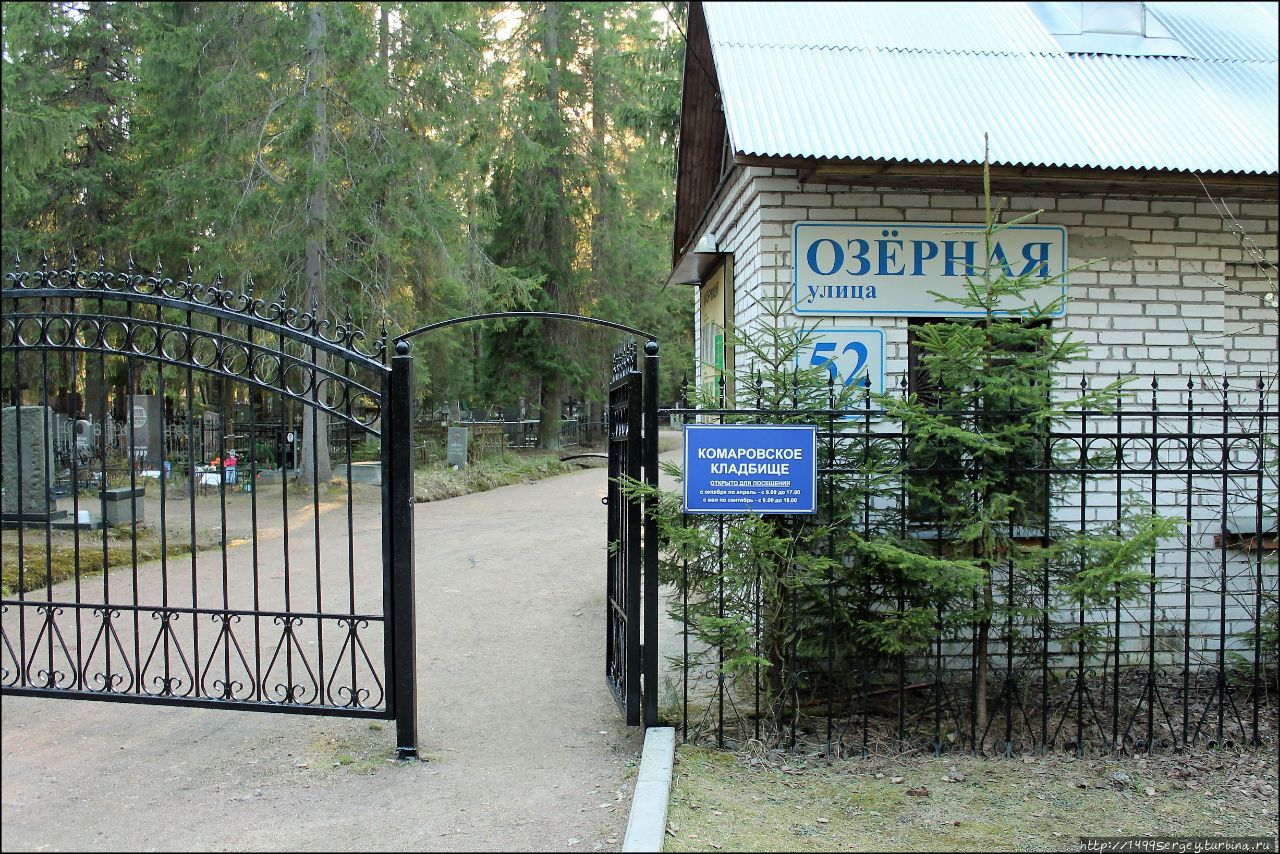 Кладбище в Комарово Ленинградской области